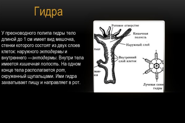 Актуальная ссылка на кракен