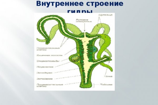 Ссылка официальный сайт кракен