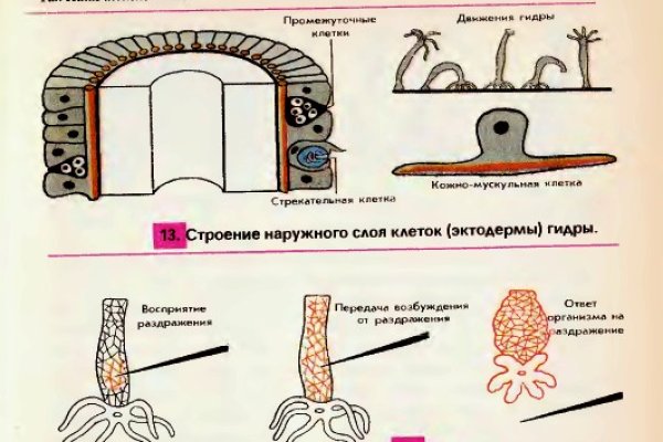 Кракен ссылки онлайн